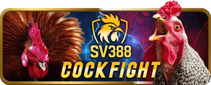 Hướng dẫn cá cược hiệu quả tại Winvn Bet